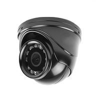 Lentes de Visión Nocturna CMOS Mini OEM ODM con LED IR, Alta Sensibilidad, para Sistemas de Seguridad Interiores y Exteriores, Blanco y Negro