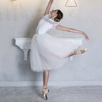 117144001 Baiwu Jupe Tutu de Ballet Taille Haute Longue à Enfiler pour la Danse et les Spectacles de Ballet pour Femmes et Filles