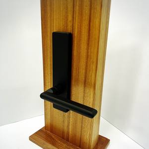 Juego de Cerradura de Embutir de Alta Gama con Placa Rectangular de Aleación de Zinc Negro y Palanca para Puerta Interior de Madera Blanca - Product Image 1