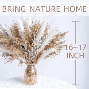 Bouquet de fleurs séchées d'herbe de la pampa - Petite herbe de la pampa et herbe de queue de lapin pour décoration de mariage, de remise de diplôme et de la maison - Product Image 4