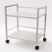 Chariot de cuisine moderne à 2 niveaux en fer avec roulettes, chariot utilitaire roulant, support de rangement multifonction écologique pour condiments