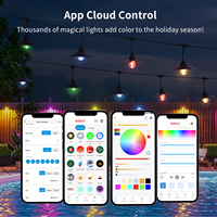 Luces de Cadena LED RGBW para Exteriores con Sincronización Musical, IP65, DC24 36V, Control por Wifi, para Jardín, Bodas y Fiestas