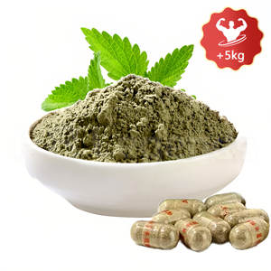 OEM ODM Ginseng estratto in polvere stimolare l'appetito aumentare la massa corporea integratore di Ginseng a base di erbe - Product Image 1