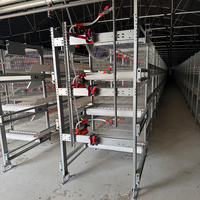 Nouvel équipement d'élevage de poulets de chair Cages en batterie automatiques pour poussins d'un jour Maisons pour poulets et cailles à vendre