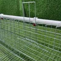 Cages à batterie WIN pour poules pondeuses, 20 000 oiseaux, 4 niveaux, équipement d'élevage avicole, conception directe usine