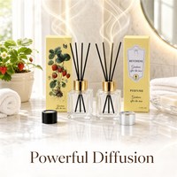 Ensemble diffuseur de parfum 100 ml, bouteille carrée en verre transparent, col doré, bâtonnets noirs pour chambre à coucher, vente en gros sous marque privée