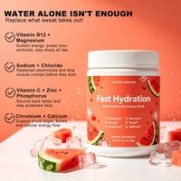 Poudre de boisson électrolytique à la pastèque pour une hydratation rapide, complément alimentaire pour le sport, l'entraînement, les voyages et la récupération