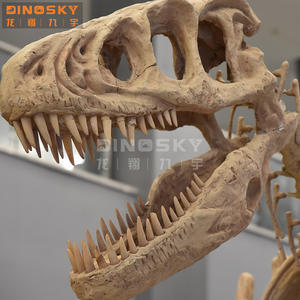 Fossiles <span class=keywords><strong>de</strong></span> dinosaures Liopleurodon artificiels, <span class=keywords><strong>simulation</strong></span> <span class=keywords><strong>de</strong></span> T-rex, squelette <span class=keywords><strong>de</strong></span> dinosaure, exposition muséale, exposition d'amusement, DINOSKY - Product Image 5