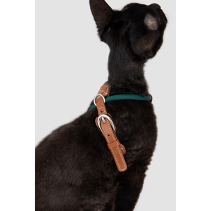 Kitten Walking Vest <b>Harness</b> Adjustable Soft Cat <b>Harness</b> And Reflective Mesh <b>Pet</b> Vest For Safe Outdoor Adventure - Product Image 3