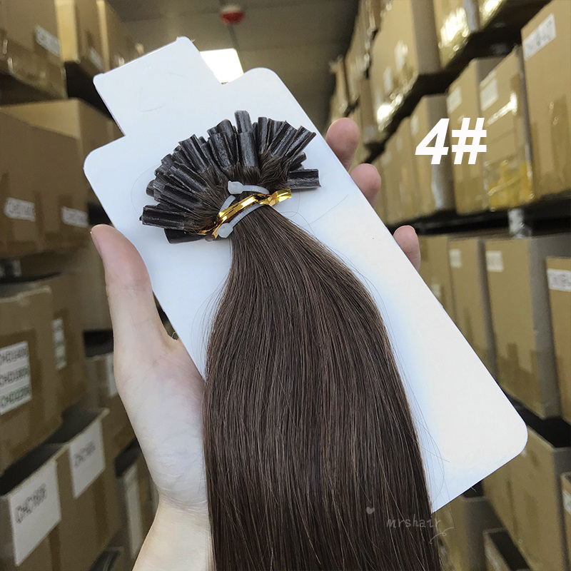 Dark Brown 04