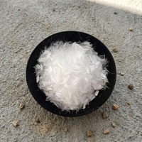 Fibres de polyester vierges 100 % en fibre discontinue, style uni, fibres PP pour additif de béton, produits chimiques pour routes, échafaudages, marque Bairuisite, modèle