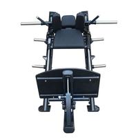 Vente chaude nouvelle broche charge jambe presse Machine Fitness jambe latérale presse Hack Squat 45 degrés Machine poids plaques chargement Fitness