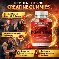 Bonbons gélifiés à la créatine, formulés avec du monohydrate de créatine pour soutenir la force et la récupération musculaires.