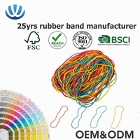 Bandas de Goma Natural Resistentes a Altas Temperaturas Wanlin, Bandas de Goma Grandes y Fuertes Personalizadas, Banda de Goma de Alta Elasticidad