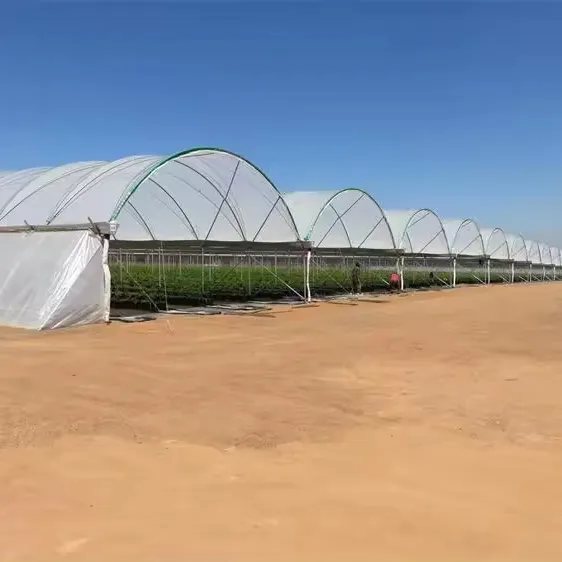 One One Landwirtschaft/Bauernhof/Industrie/Garten/Gemüse Kunststoff Multi Span Film Poly Gewächshaus mit Hydro ponik für Tomaten