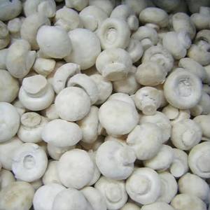 Champiñones Congelados IQF de Alta Calidad, Nueva Fuente de China, <span class=keywords><strong>Precio</strong></span> Mayorista al Mejor <span class=keywords><strong>Precio</strong></span> - Product Image 2