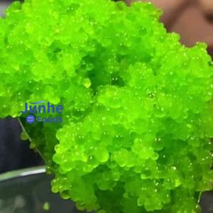 <span class=keywords><strong>Caviar</strong></span> <span class=keywords><strong>de</strong></span> tobiko épicé et sucré avec raifort japonais authentique congelé en boîte pour enfants Prêt à manger - Product Image 4