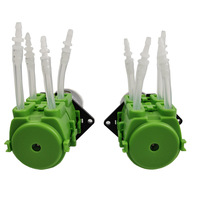 Pompe péristaltique à double tête modèle G328D 12V/24V, petite unité de pompage de laboratoire, résistante à la corrosion, automatique, double canal