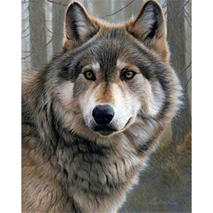 Full diamond painting 5d diamond dot painting of a diamond painting wolf - Product Image 3