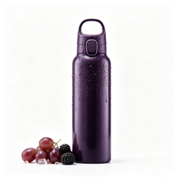 Bouteille d'eau à bec rotatif 600 ml en acier double paroi avec couvercle mousqueton pour le voyage
