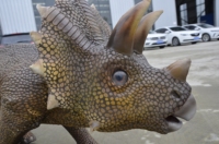 Zigong RC Roboter-Hund Triceratops Laufender Dinosaurier-Roboter Realistisches Simulationsmodell Leichtgewichtig Anpassbar für Einkaufszentren