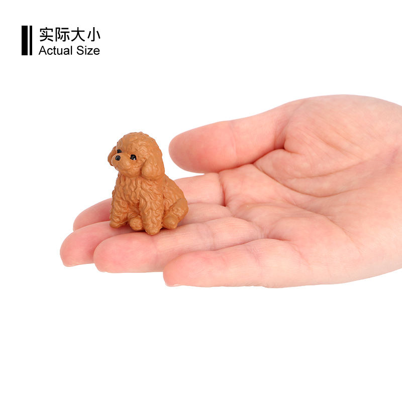 3836 Acting Cute Poodle Dog