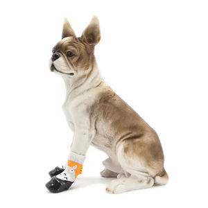 Nouvelles Bottes pour Chien en Latex Respirant Jetables Chaussures pour Animaux de Compagnie Imperméables Antidérapantes Douces pour Chiens Promenade en Plein Air - Product Image 5