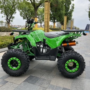<span class=keywords><strong>Cuatrimoto</strong></span> Automática Competitiva de 125cc Todoterreno con Personalización de Color - Product Image 5