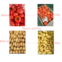 De Volautomatische Productielijn Van De Fabrikant Voor Frietjes En Frites Frituurtomatenverwerkingslijn