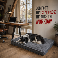 Matelas orthopédique pour chien, gris, matelassé, pour intérieur, avec housse amovible et imperméable