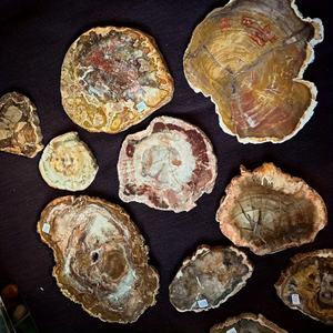 Polished Wooden Petrified Fossil Stone Slice Craft Irregular Stone and <b>Wood</b> <b>Pieces</b> for Decorative Crystal Crafts for Healing - Product Image 6