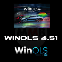 Software Auto Winols 4.51 con Archivio Grande WINOLS DAMOS, Pacchetti Damos Mappacks BIG PACK, Mappe Chip Tuning, Tutti i File Dati Mappe