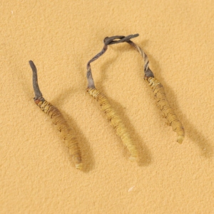 100% Cordyceps Sinensis Prue tự nhiên chất lượng cao Khô Tây Tạng Cordyceps Sinensis - Product Image 5