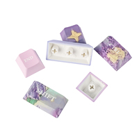KiiBOOM Violet Keycap Set Custom Keycap Layout 133 Keys OEM Profile PBT Full Set Oem Keycap Printing Machine
