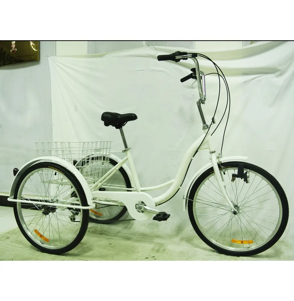 20 इंच 6 गति कार्गो tricycle स्टील उच्च गुणवत्ता तिपहिया वयस्क ट्राइक
