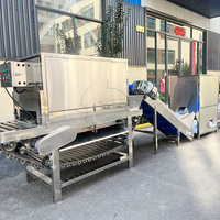 Grote Ui Wortelsnijmachine Fruit-En Groenteverwerkingsfabriek/Uienwortelsnijmachine