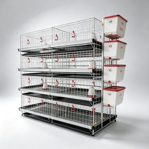 Système d'élevage modulaire à quatre niveaux pour poussins avec structure en acier galvanisé et conception à montage facile - Product Image 5