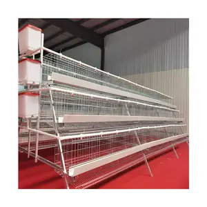 Modern Europe Design Chicken Farm Automatic Poultry Farming Equipment Layer Cage