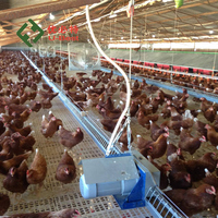 Systèmes d'élevage avicole commerciaux : Prix direct usine Chine pour équipements d'élevage de poulets climatisés