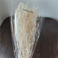Ge conserveerde Lunaria Mini Pennycress bloem, verse natuurlijke huisdecoratie voor bruiloften, Moederdag, Kerstmis