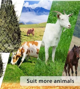 Duurzame Goede Kwaliteit Pp & Polyester <span class=keywords><strong>Slow</strong></span> Feed Hooi <span class=keywords><strong>Net</strong></span> Hooi Tas Voor Dieren Nieuwe Versie Titel - Product Image 2