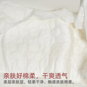 Pañales para Adultos Ai Nuan, Talla Grande, Alta Absorbencia, Desechables, con Protección Contra Fugas, Tallas L y XL, 10 Unidades Cada Una - Product Image 1