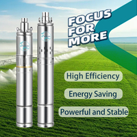 SHIYUAN Pompe Immergée Solaire Grand Débit Robuste 1 Pouce 250 Watts 24V 100M Puits Profond Pompe à Eau Submersible Solaire à Vis