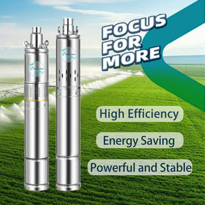 SHIYUAN <span class=keywords><strong>Pompe</strong></span> Immergée <span class=keywords><strong>Solaire</strong></span> Grand Débit Robuste 1 Pouce 250 Watts 24V 100M Puits Profond <span class=keywords><strong>Pompe</strong></span> à Eau Submersible <span class=keywords><strong>Solaire</strong></span> à Vis - Product Image 2