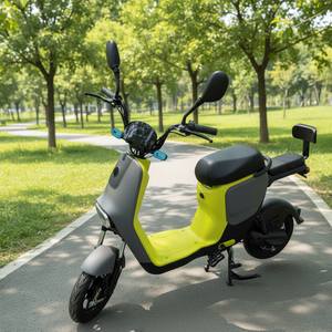 Vélo <span class=keywords><strong>cargo</strong></span> électrique pliable 48V pas cher, dernière version, avec moteur à moyeu avant, vélo de ville pour adultes - Product Image 1