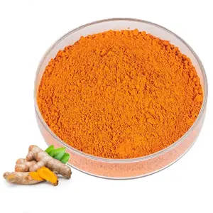 Giá bán chạy nhất tự nhiên Curcumin CAS 458-37-7 bột