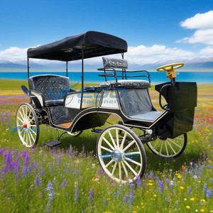 Carroza Eléctrica Negra de Lujo Personalizable de Alta Calidad para Turismo, Bodas y Paseos al Aire Libre / Vagoneta para Recorridos al Aire Libre - Product Image 5
