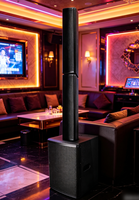 Sistema de Sonido Portátil de Columna Activa para KTV, Club, Bar, Iglesia, Bodas, con Potente Subwoofer