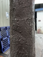 Arbre d'érable artificiel rouge à feuilles simples, écologique, fait main, durable, de 350 cm, pour aménagement mural et d'angle - En promotion