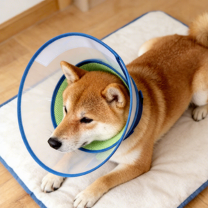 Soft Breathable <strong>Dog</strong> Cone Adjustable Pet Recovery E <strong>Collar</strong> After Surgery Anti-Bite Elizabethan <strong>Collar</strong> for <strong>Dogs</strong> - Product Image 2
